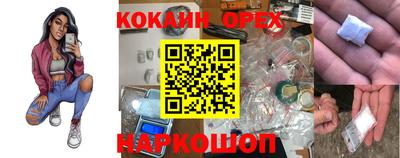 дмт Новозыбков