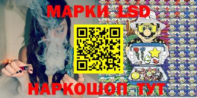 дмт Новозыбков