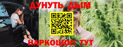 дмт Новозыбков