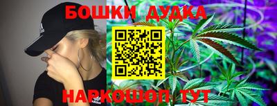 дмт Новозыбков