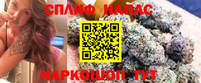 дмт Новозыбков